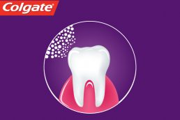 Colgate infographic, feature image